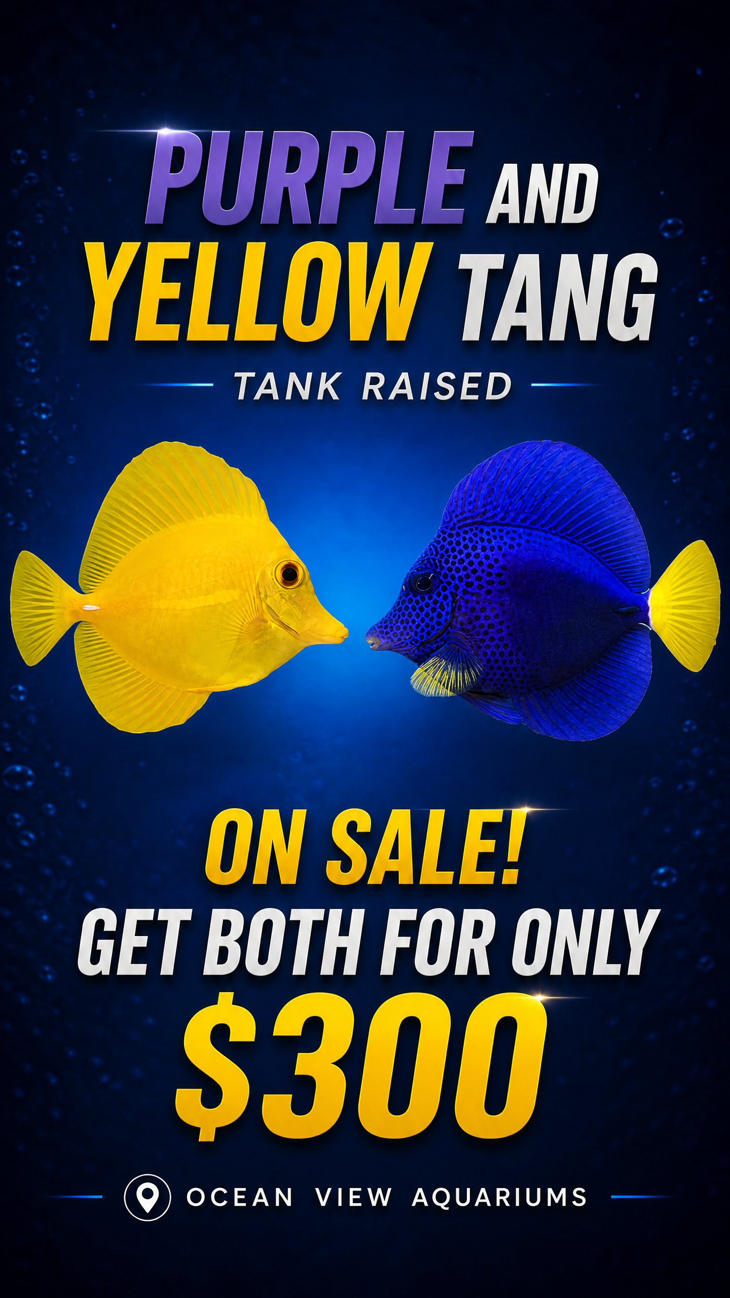 YELLOW TANG & PURPLE TANG