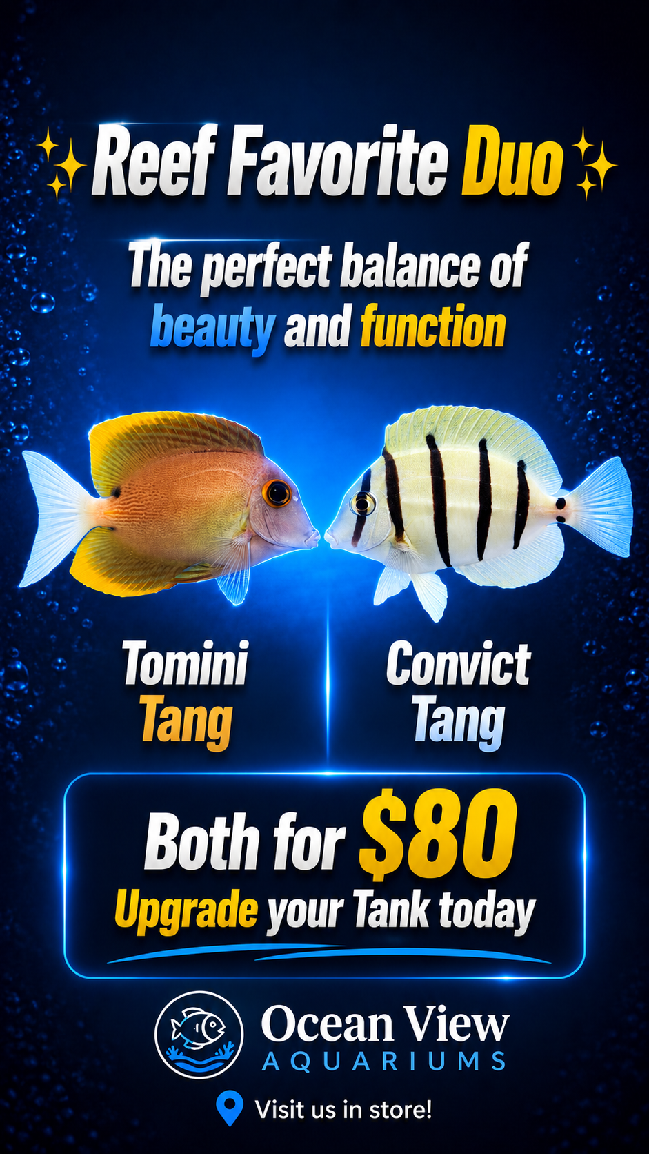 Tomini Tang & Convict Tang