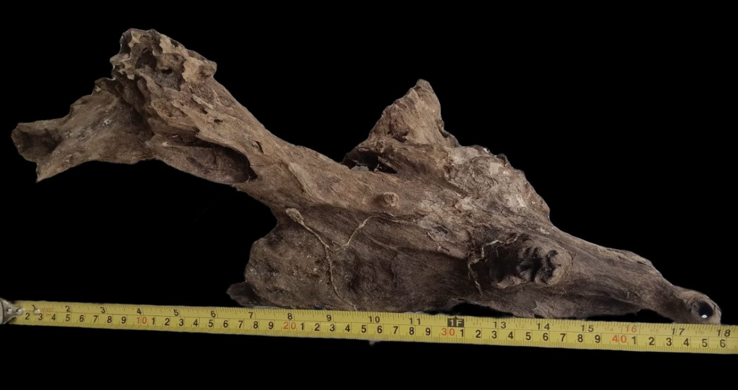 DRIFT: EcoDriftwood