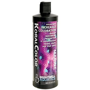 BRI:KoralColor