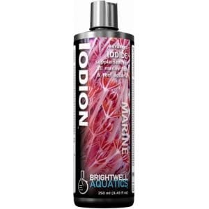 BRI:Iodion