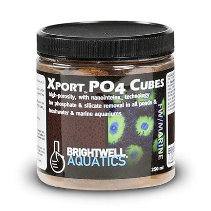 BRI:Xport-PO4-1/2INCHCubes