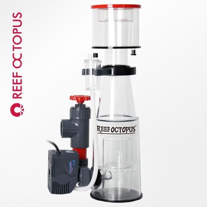 COR:Classic 110Int Protein Ski