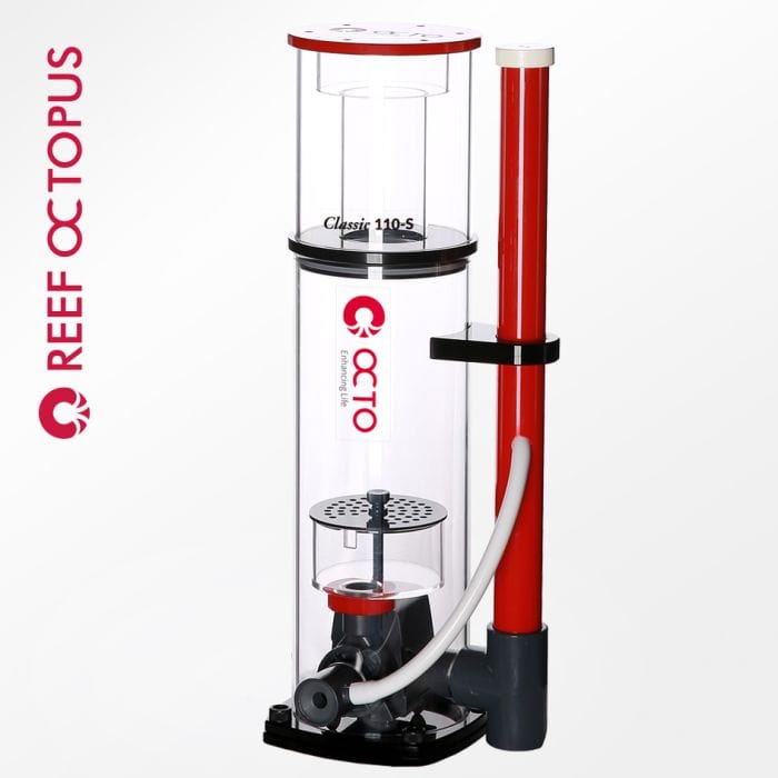 COR:Classic 110SSS Protein Ski
