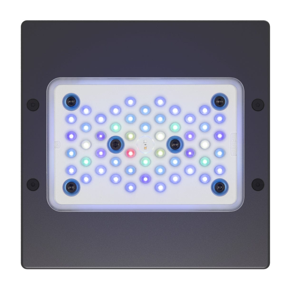 ETM:Radion XR15 Blue