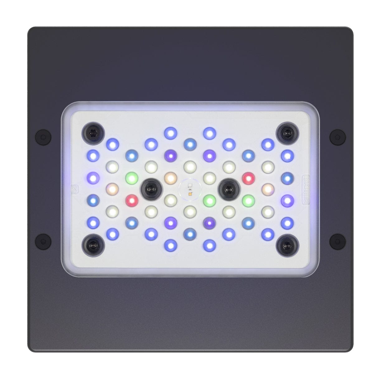 ETM:Radion XR15 Pro