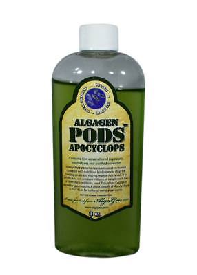 ALG:ReefPodsApocyclops16oz
