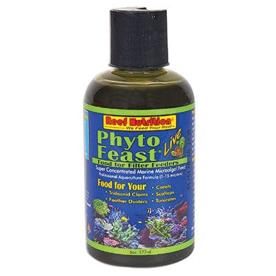 REN: Phyto-Feast Live 6oz