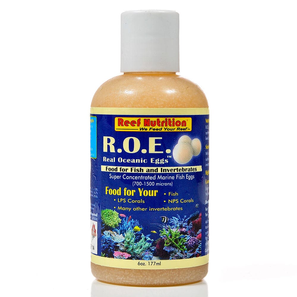 REN: Real Ocean Eggs 6oz
