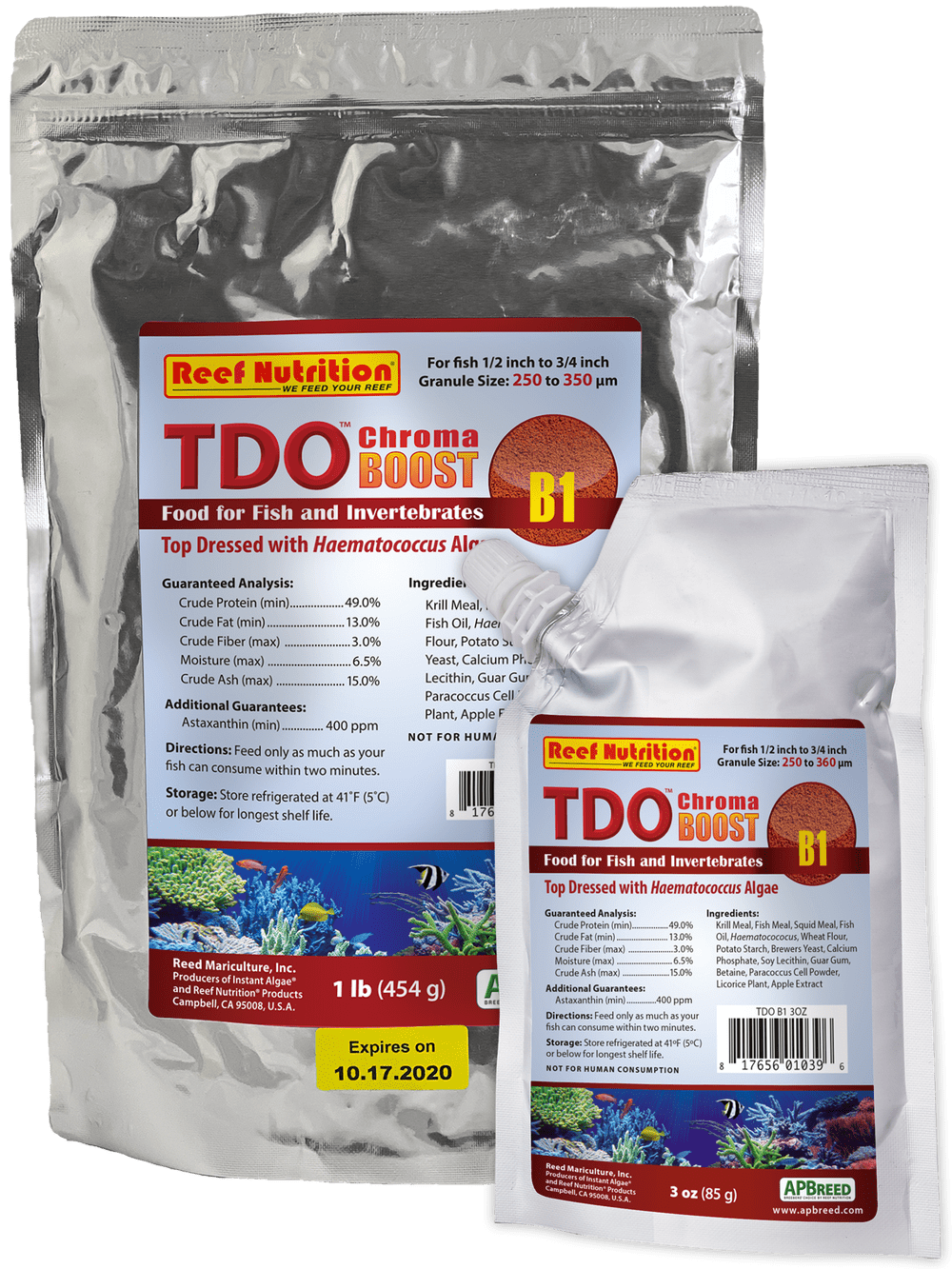 REN: TDO-B1