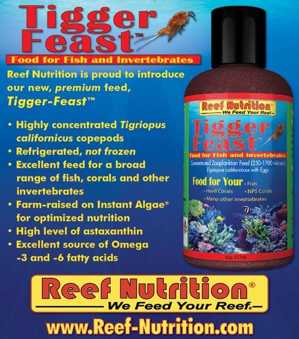 REN: Tigger Feast 6oz