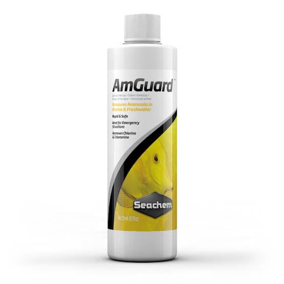 SCH: AmGuard 250ml
