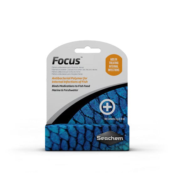 SCH: Focus 5G