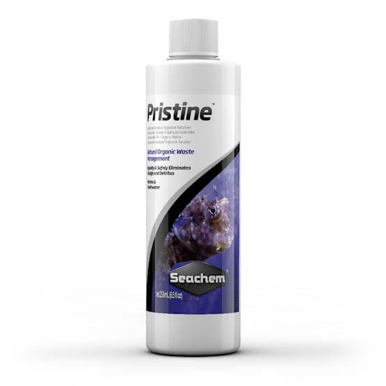 SCH: Pristine 500ml