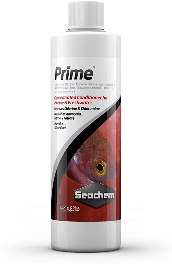 SCH: Prime 100ML