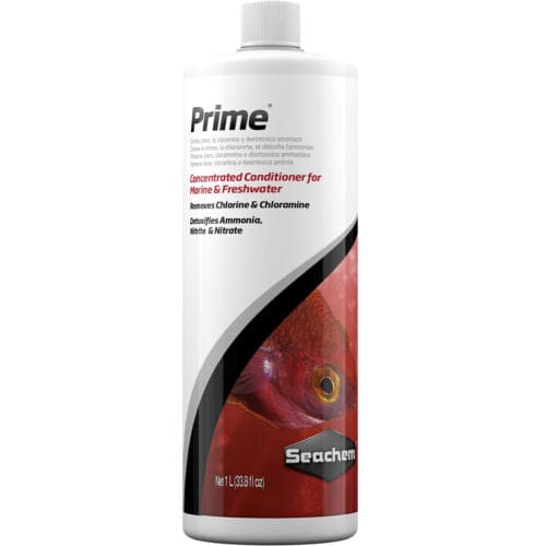 SCH: Prime
