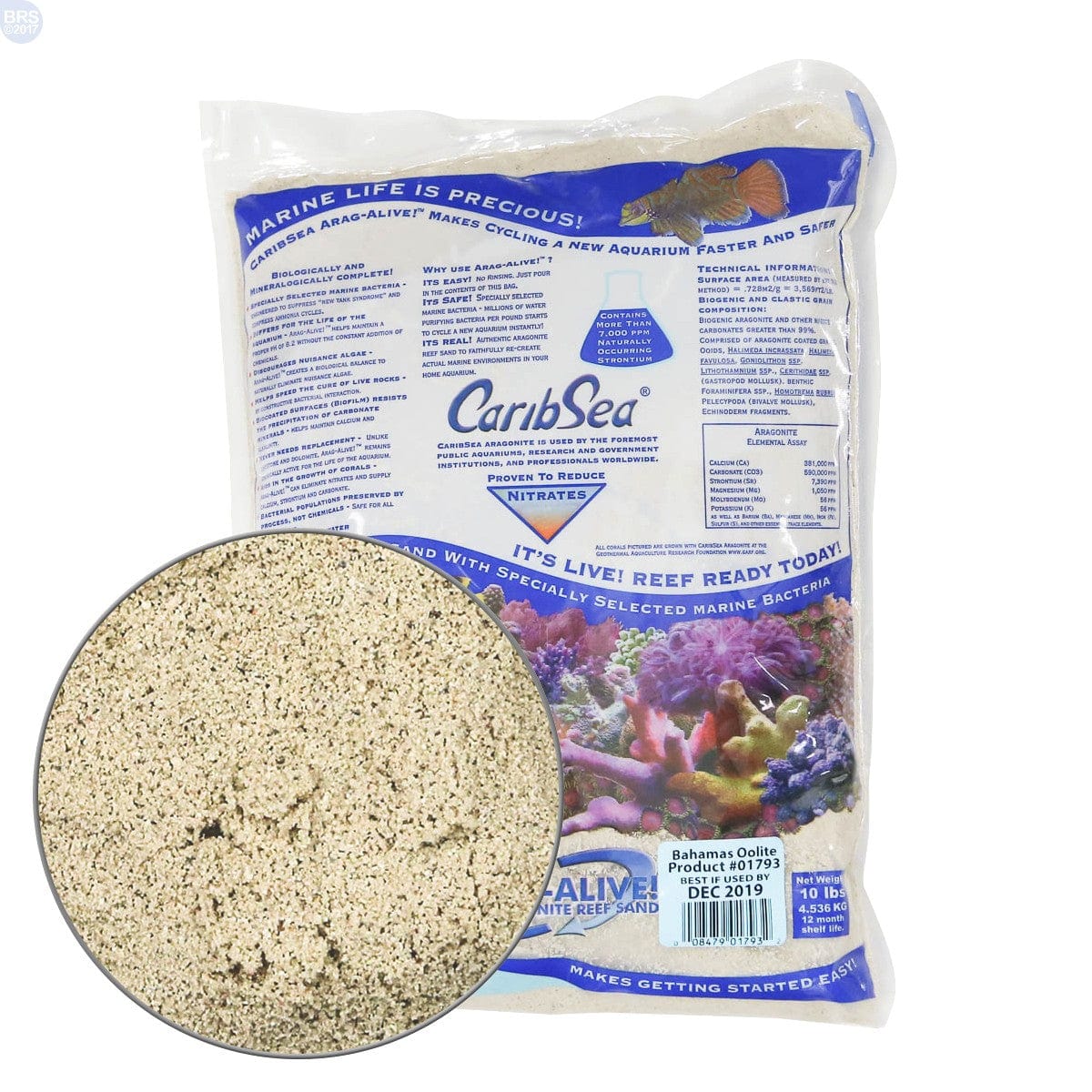 CAR:C-AragAlive Bahamas Oolite