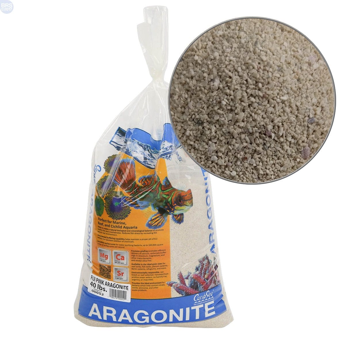 CAR:Aragonite-Seaflor Fiji Pin