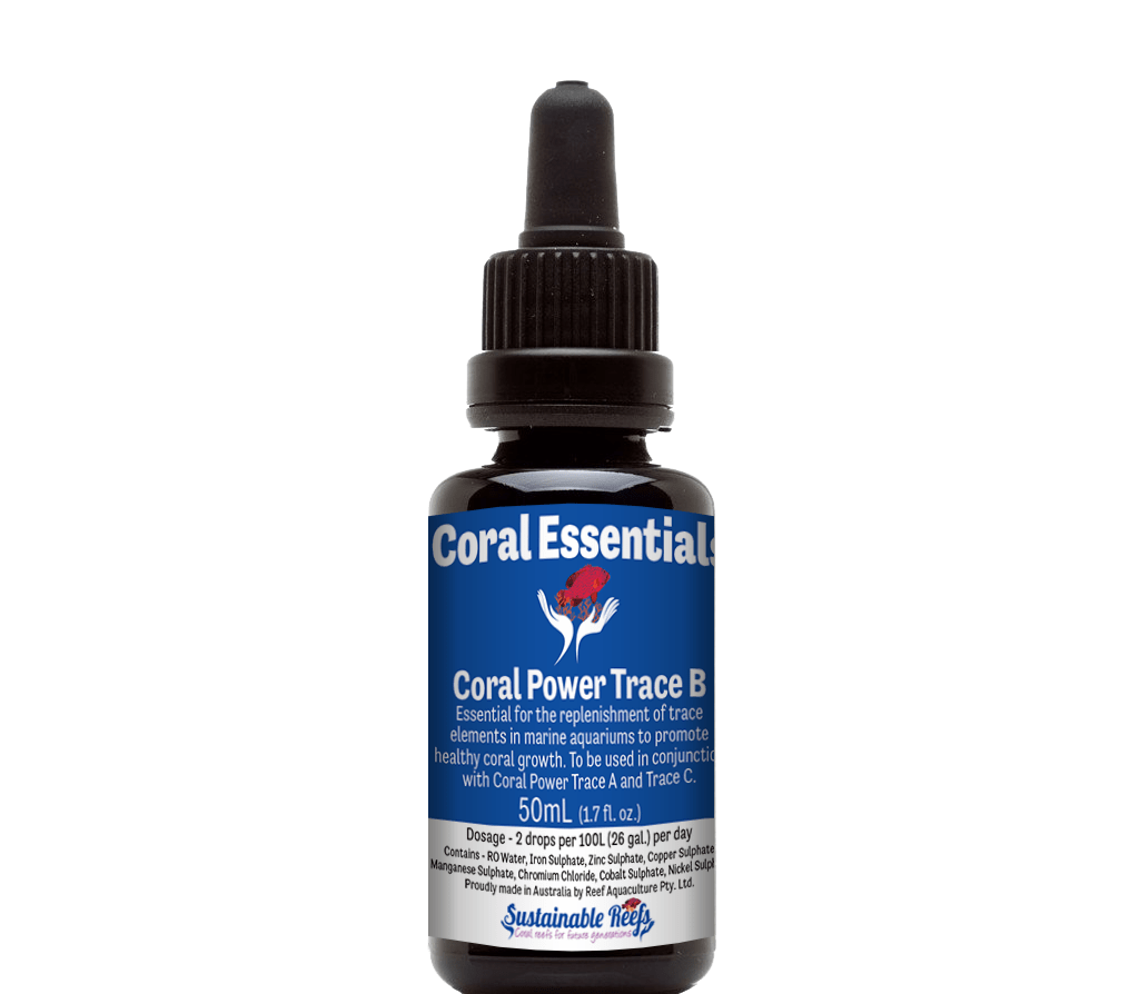 BLU:Coral Essentials Trace B 5