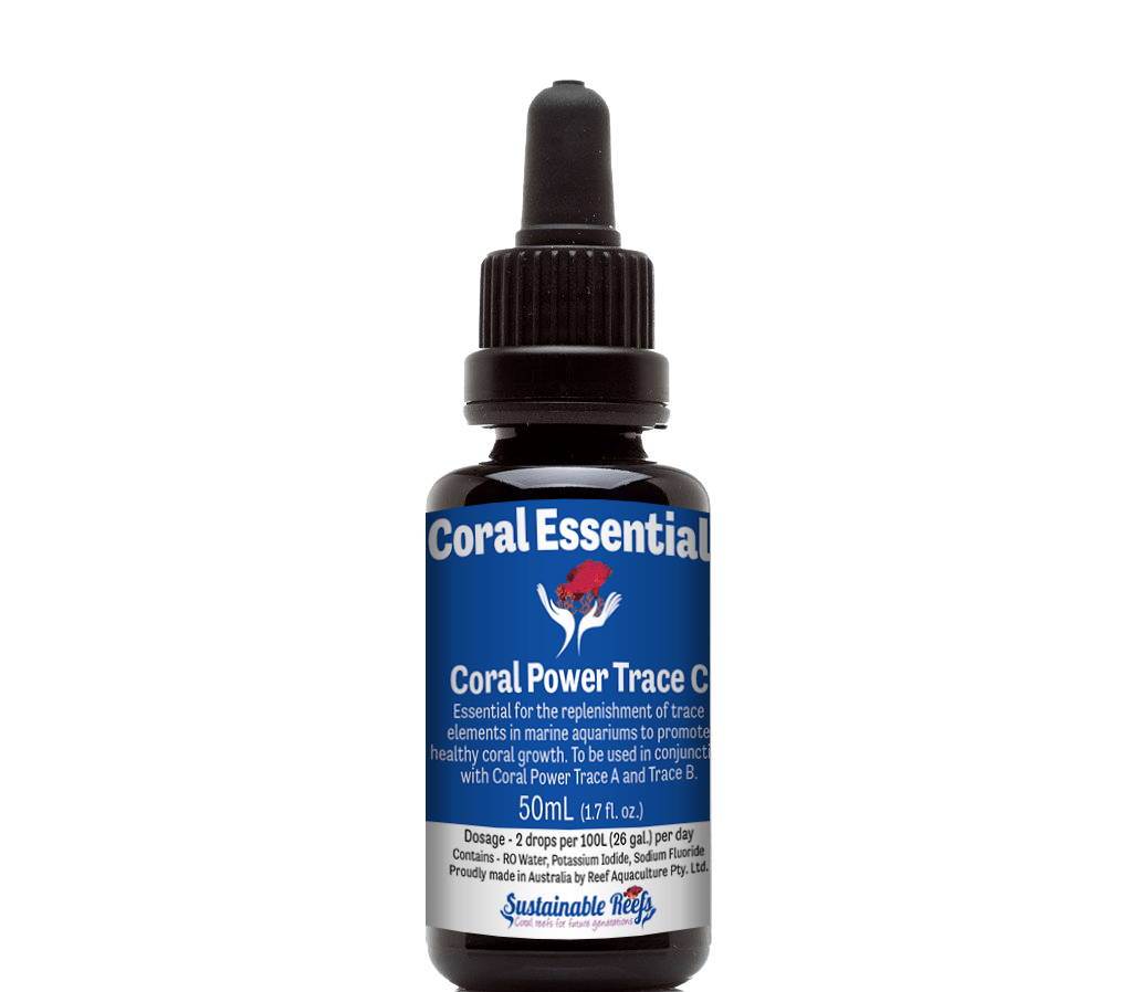BLU:Coral Essentials Trace C 5