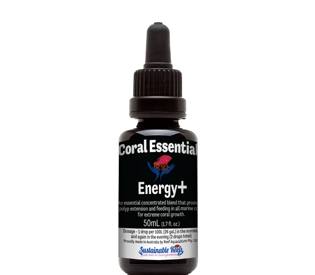 BLU:Coral Essentials Energy+ 5