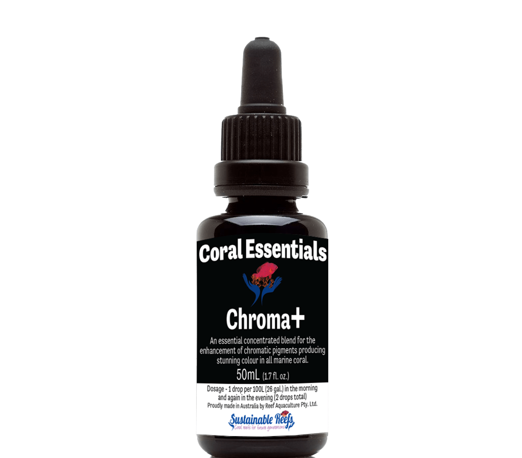 BLU:Coral Essentials Chroma+ 5