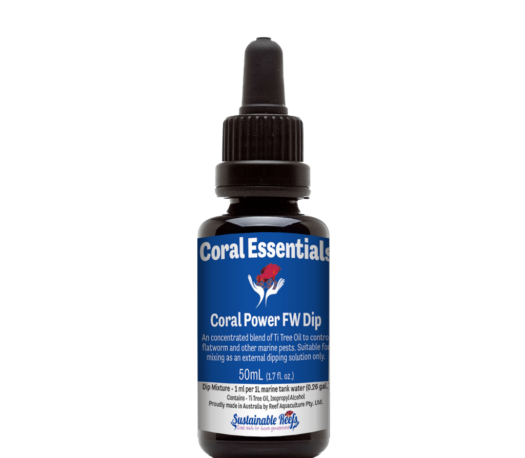 BLU:Coral Essentials FW Dip 50