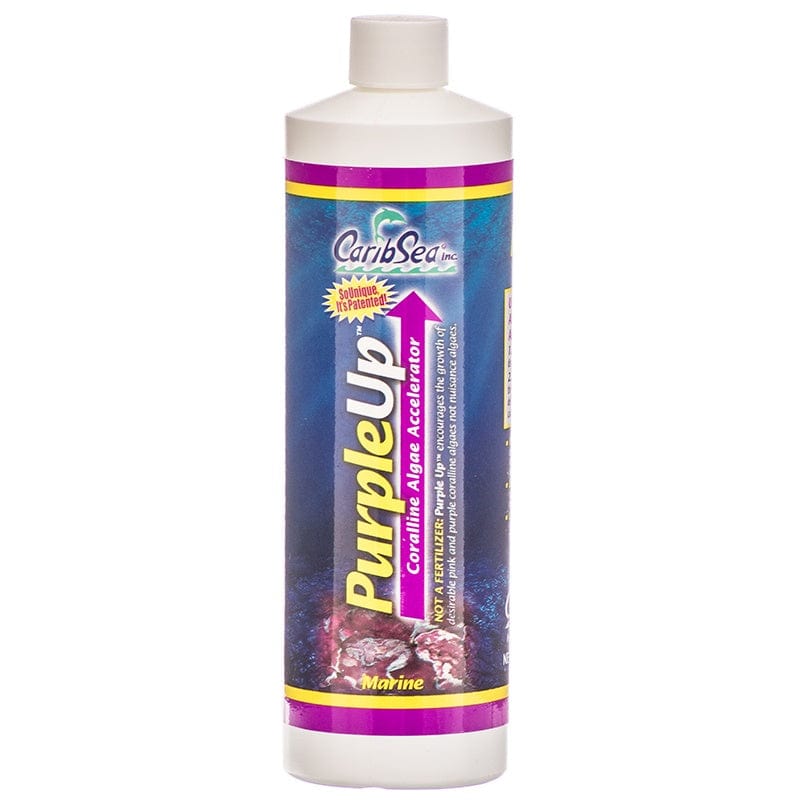 CAR:C-Purple Up Coralline Alga