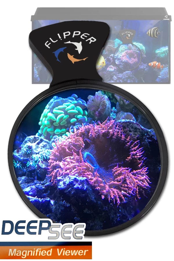 FLI:Flipper DeepSee Viewer