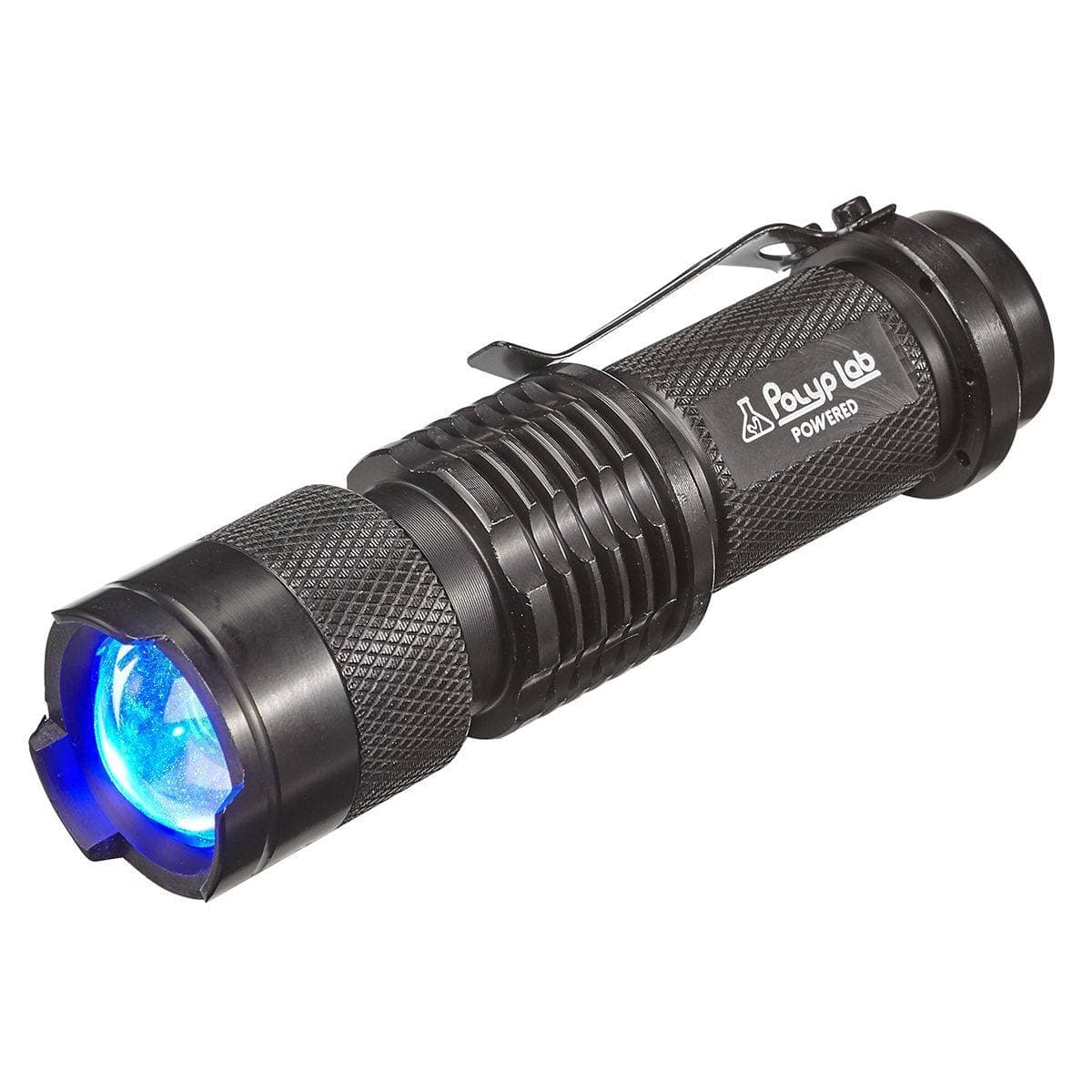 POL:PolypLab Scope