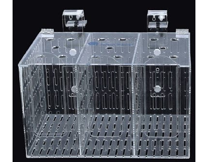 SSA: Acclimation Box BB3